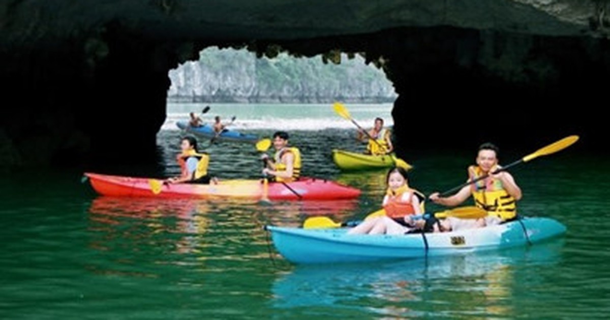 Sẽ tổ chức dịch vụ chèo thuyền Kayak trên vịnh Hạ Long