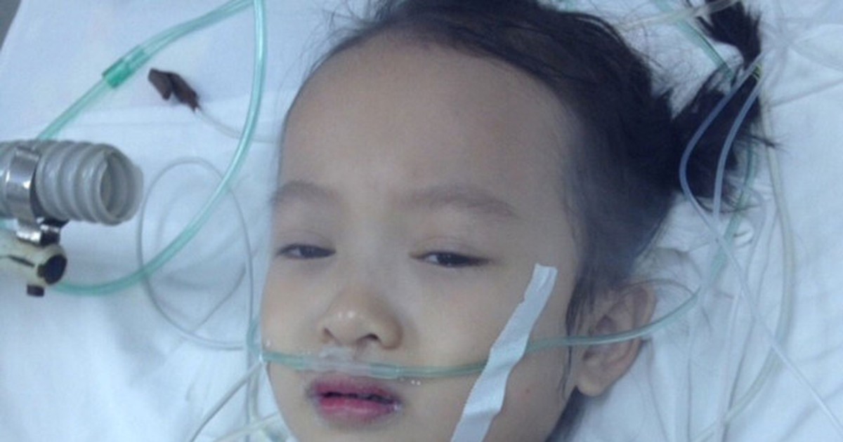 Những tấm lòng vàng của bạn đọc Báo Thanh Niên