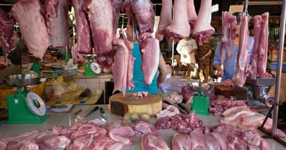 100% mẫu thịt được Viện Pasteur TP.HCM xét nghiệm đều nhiễm E.coli