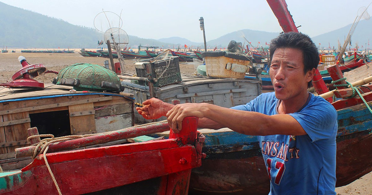 Ám ảnh tàu giã cào càn quét vùng biển Hà Tĩnh