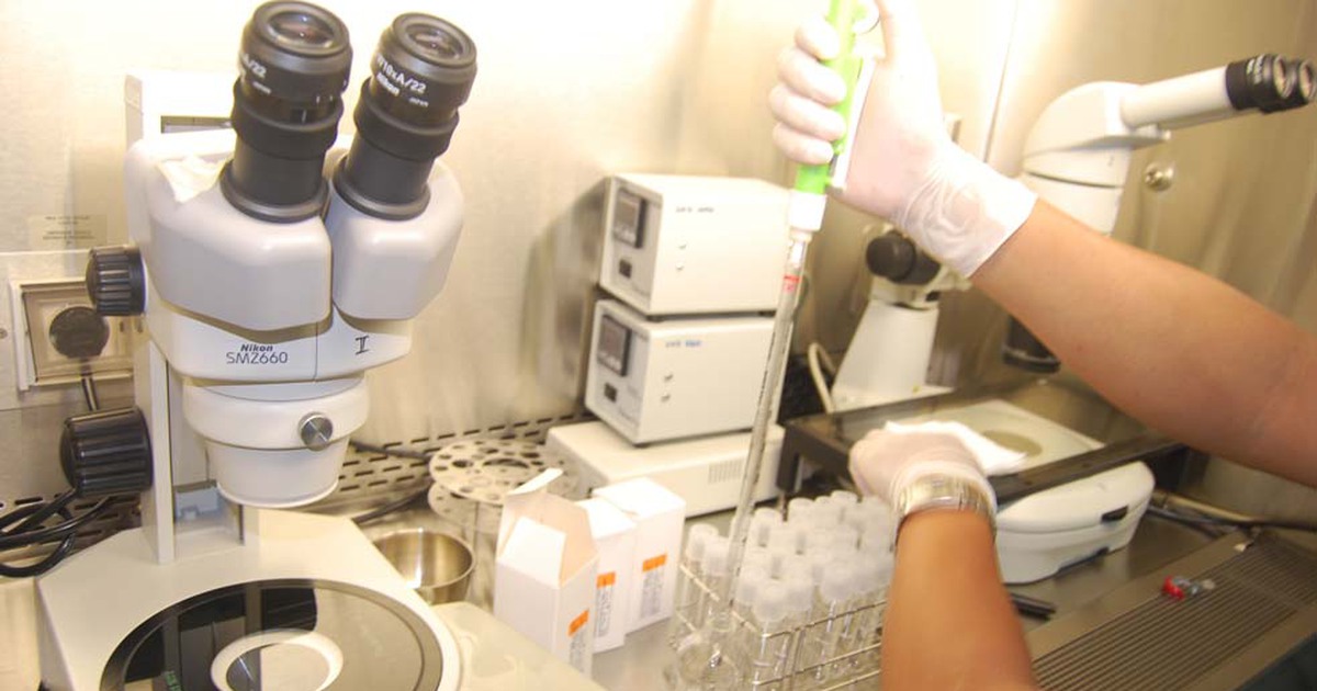 7,7% cặp vợ chồng Việt Nam trong tuổi sinh đẻ bị vô sinh