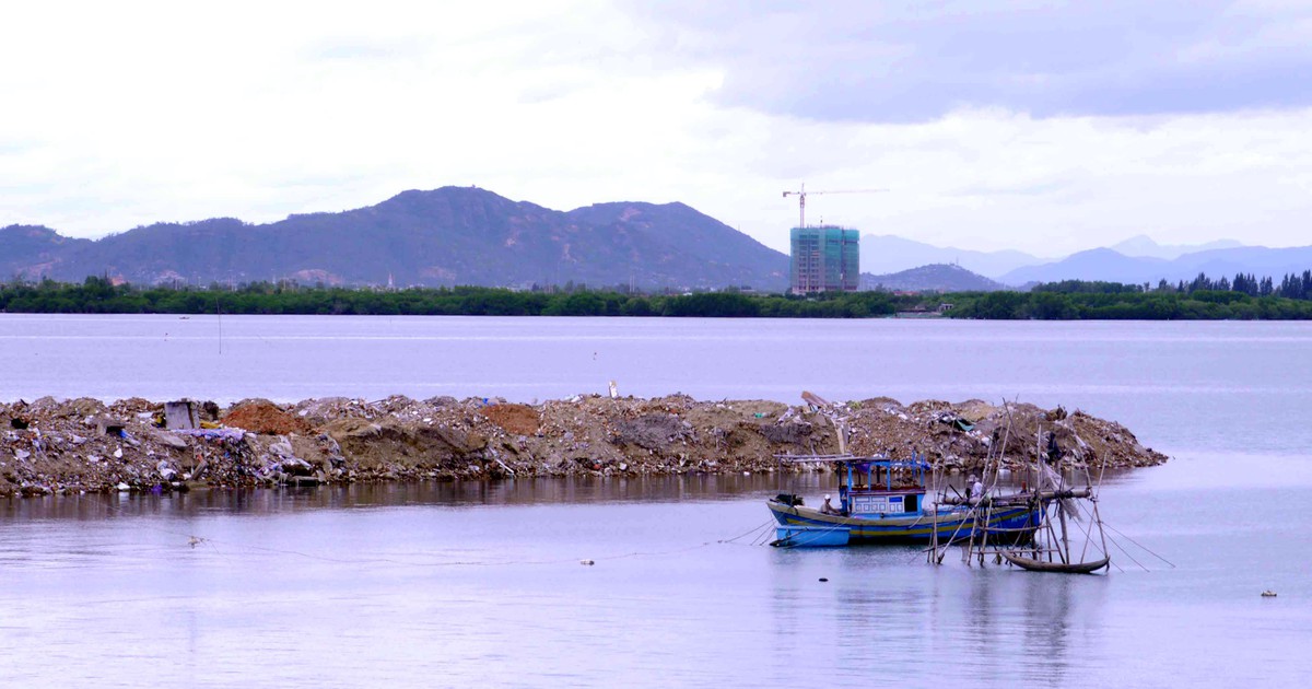 Buộc doanh nghiệp hốt toàn bộ đất đá đã san lấp đầm Thị Nại