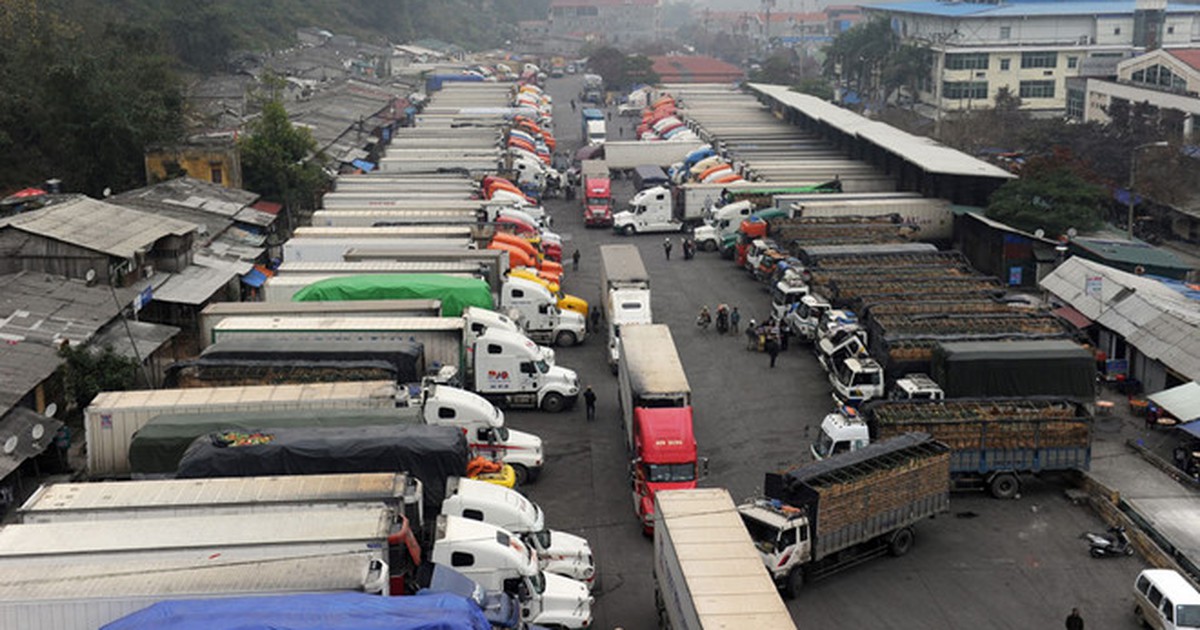 Trung Quốc thay đổi phương thức, nông sản bị ùn tắc ở Lạng Sơn