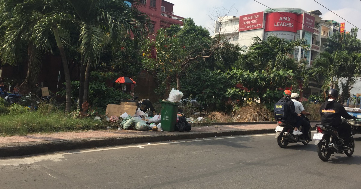 Sẽ kiểm tra, xử lý hành vi tập kết rác không đúng quy định