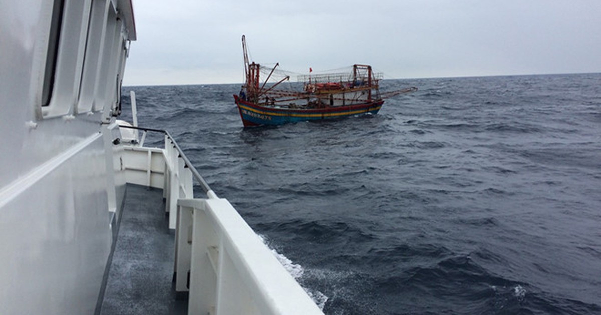 Tàu hàng gặp nạn trên biển Hà Tĩnh, 8 thủy thủ tự bơi vào bờ