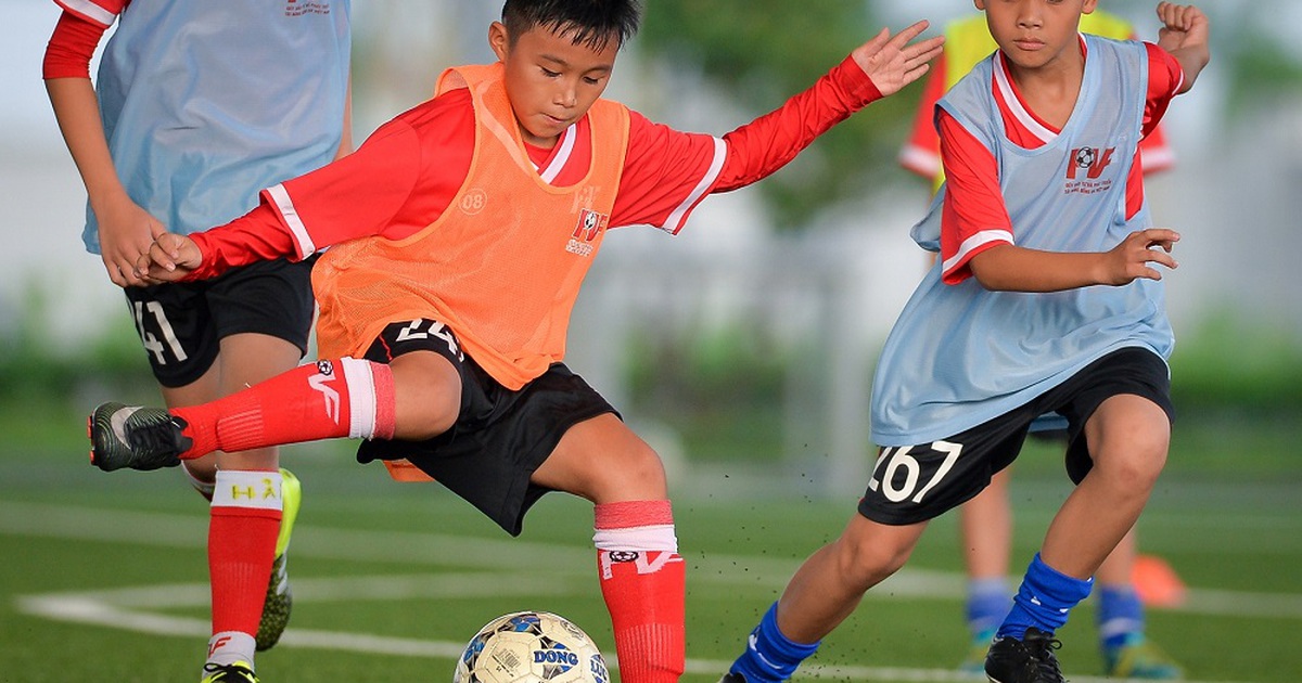 PVF tiếp tục tìm kiếm tài năng bóng đá trẻ hướng đến World Cup 2034