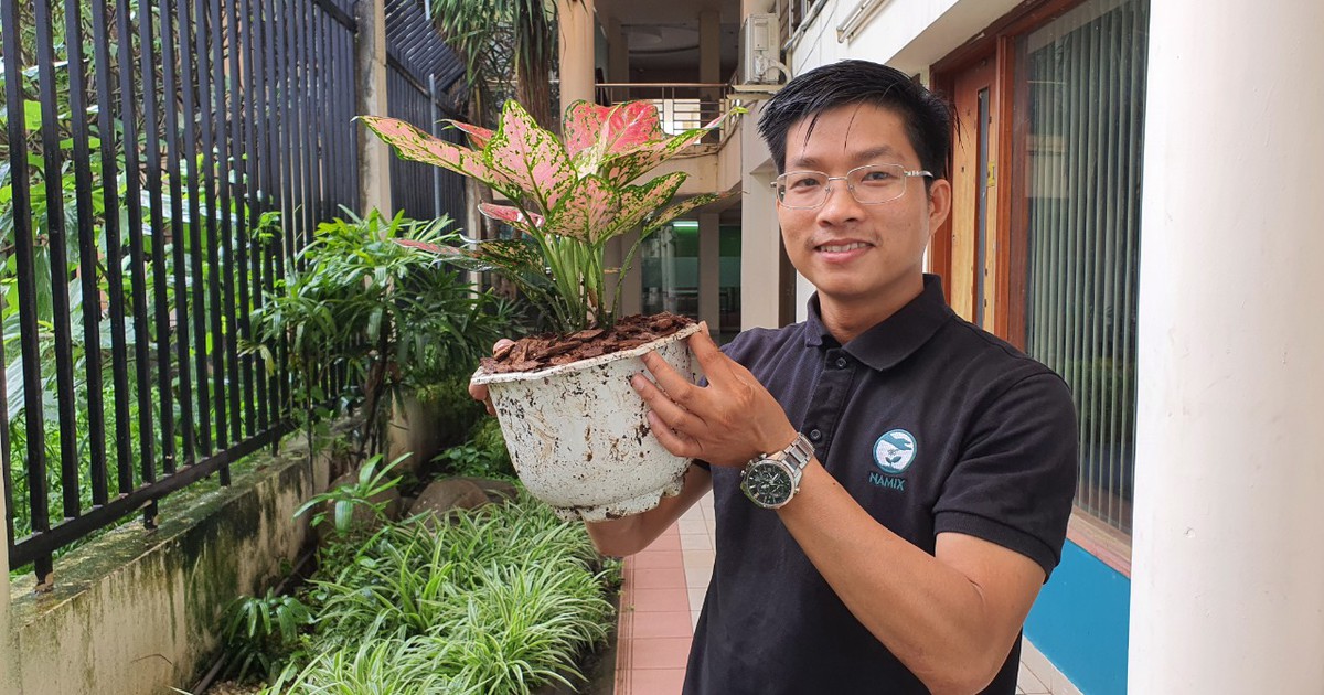 Tái khởi nghiệp sau dịch: Xuất khẩu đất trồng cây