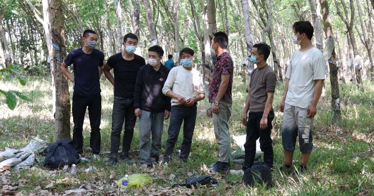 Xử nghiêm người tiếp tay, bảo kê xuất nhập cảnh trái phép