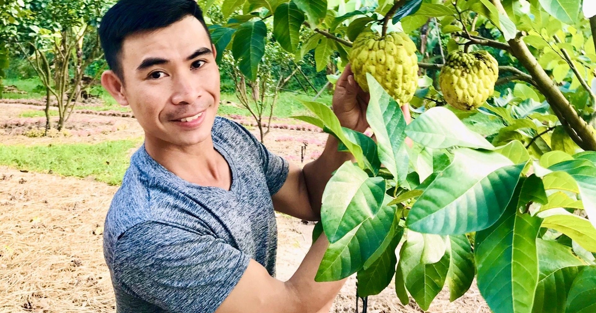 Chàng trai 9X rời phố về quê trồng nông sản sạch