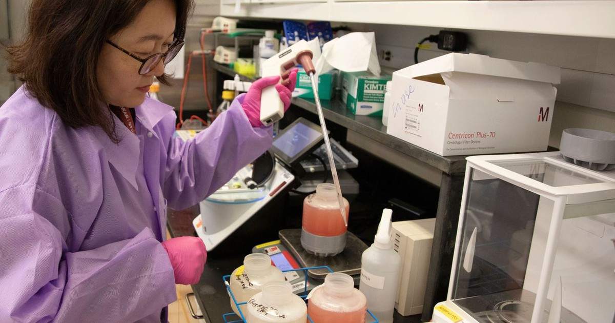 'Siêu vắc xin' chống lại mọi biến thể Covid-19 thử nghiệm thành công