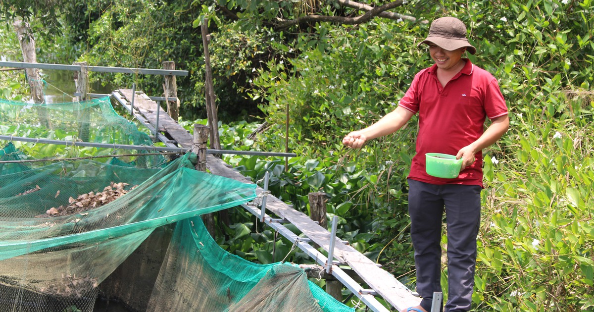 Giàu lên từ quỹ hỗ trợ cộng đồng