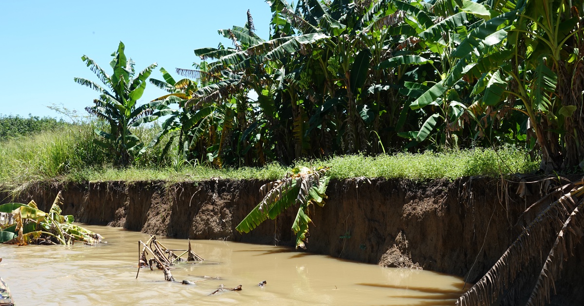 Cát tặc lộng hành, chính quyền địa phương ở đâu ?: Ngày đêm 'bức tử' sông La Ngà