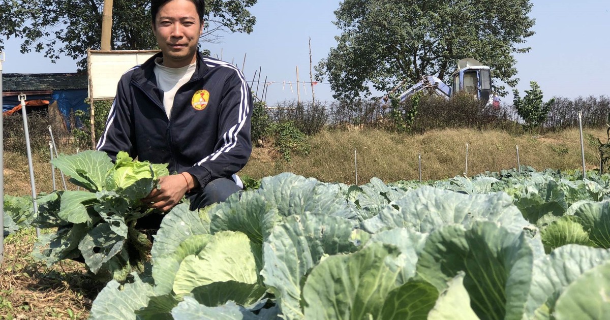 Chàng trai “càng khởi nghiệp càng nghèo” tìm được hướng đi mới