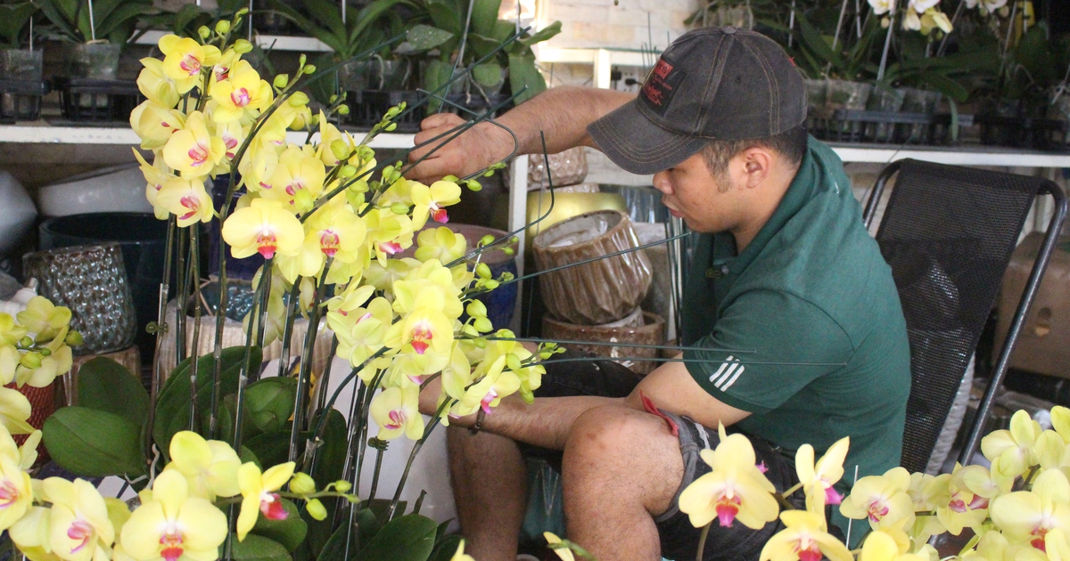 [Kỳ5] Nghề kiếm tiền ngày cận tết: Cắm hoa kiếm hàng chục triệu đồng, nhiều nơi tuyển dụng