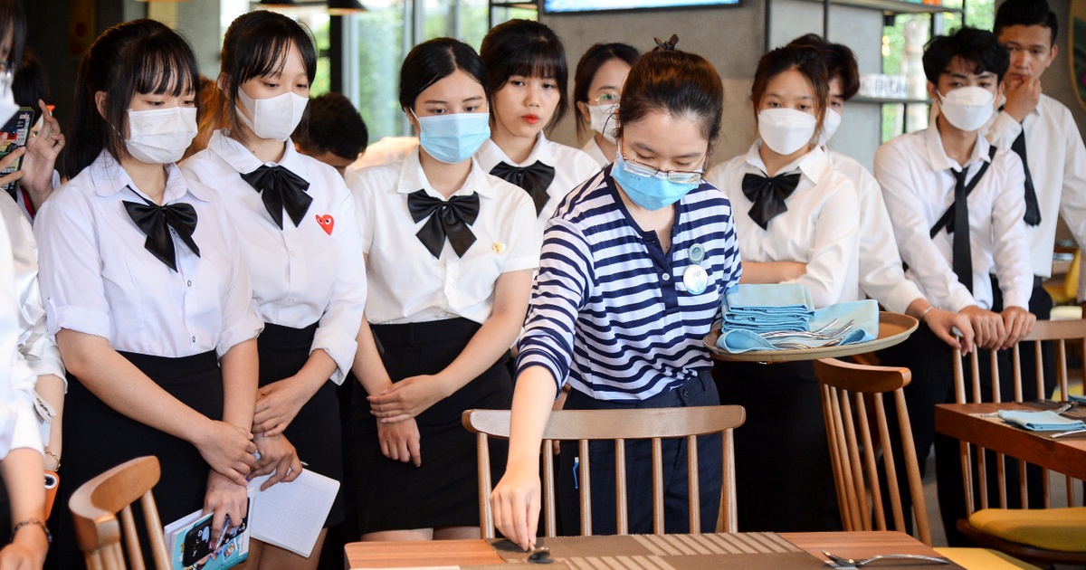 Những đặc quyền của riêng sinh viên Nova College