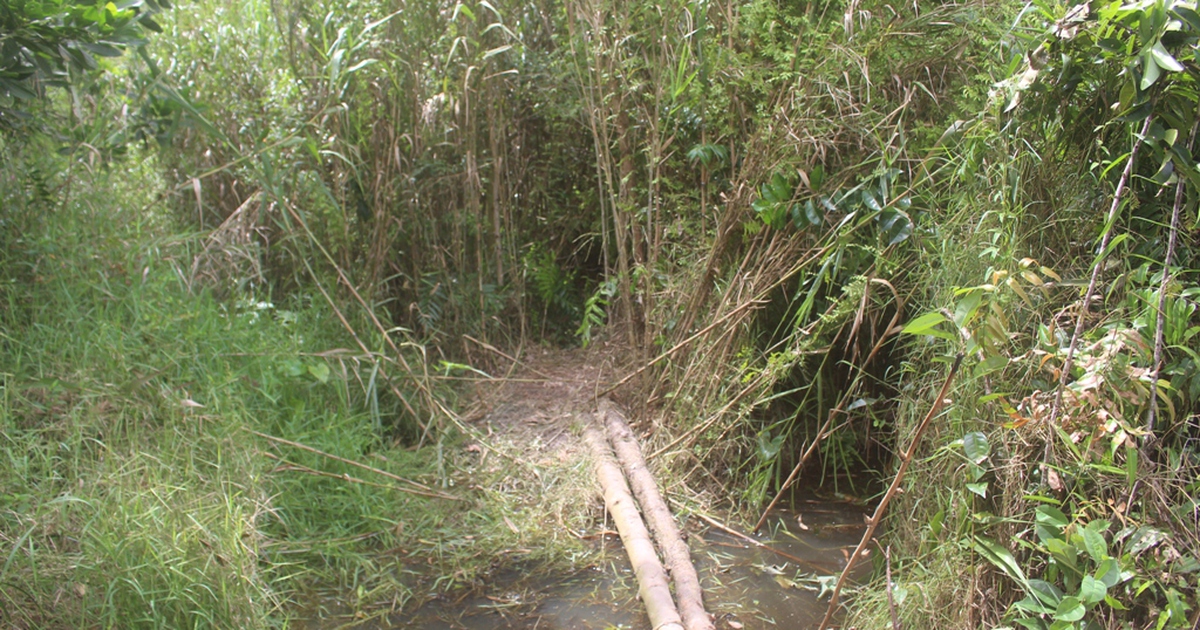 Người đi tìm thi thể bé gái 13 tuổi bỗng uống thuốc sâu tự tử