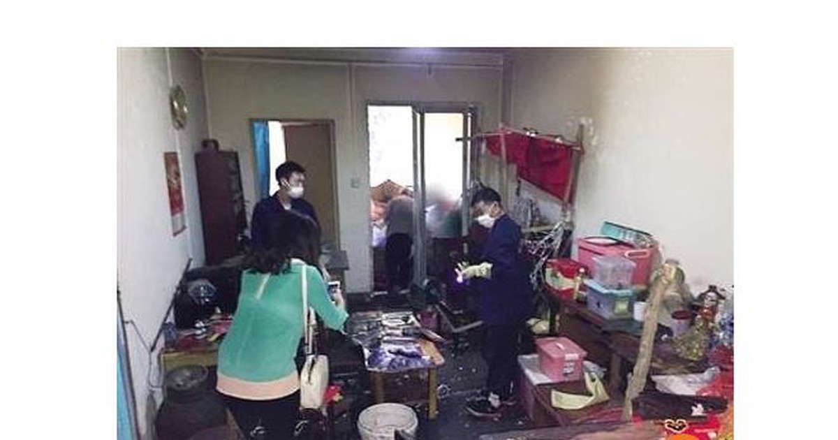 Ông lão 72 tuổi nuôi 200 con chuột trong nhà