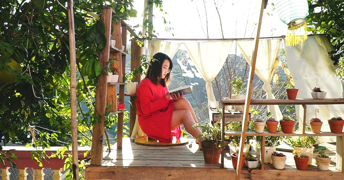 Cô gái miền Tây bỏ phố lên Đà Lạt làm vườn