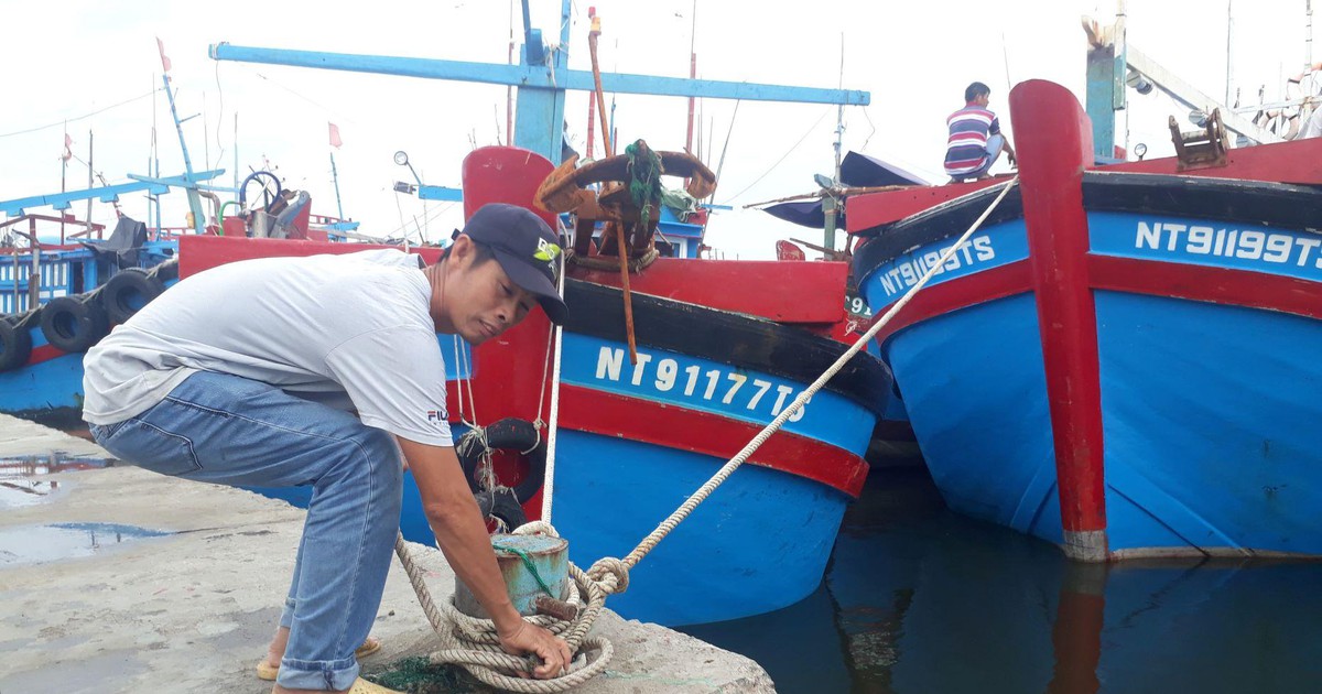 Ứng phó áp thấp nhiệt đới, Ninh Thuận nghiêm cấm tàu thuyền ra khơi