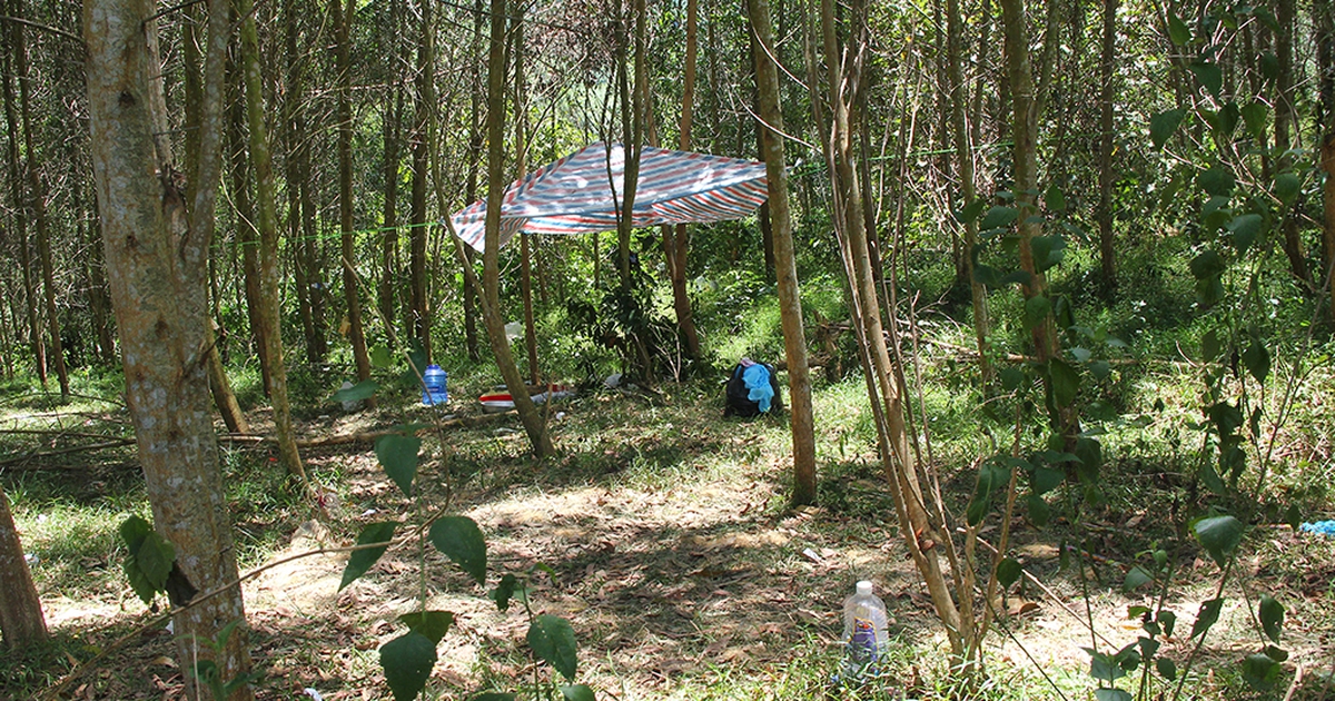 Khởi tố vụ án bé trai 5 tuổi ở Nghệ An bị bỏ chết trong rừng