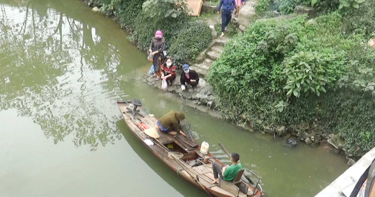 Cá chép cúng ông Táo vừa thả xuống sông đã bị lưới bát quái bủa vây