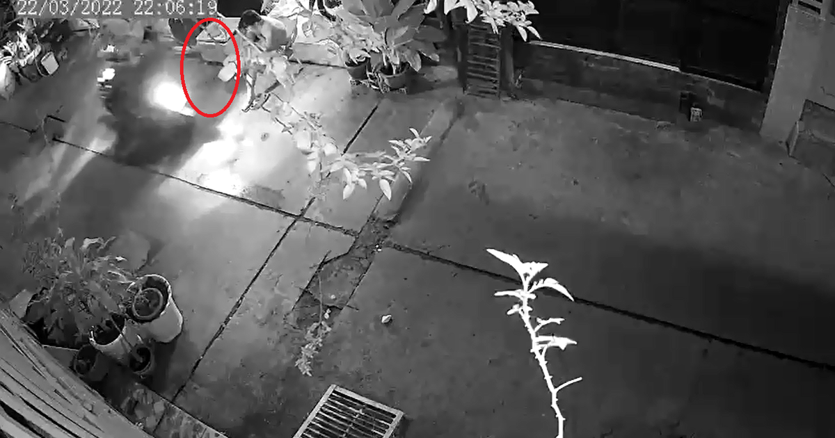 TP.HCM: Bị giật điện thoại trước cửa nhà, người đàn ông chạy bộ đuổi theo kẻ cướp