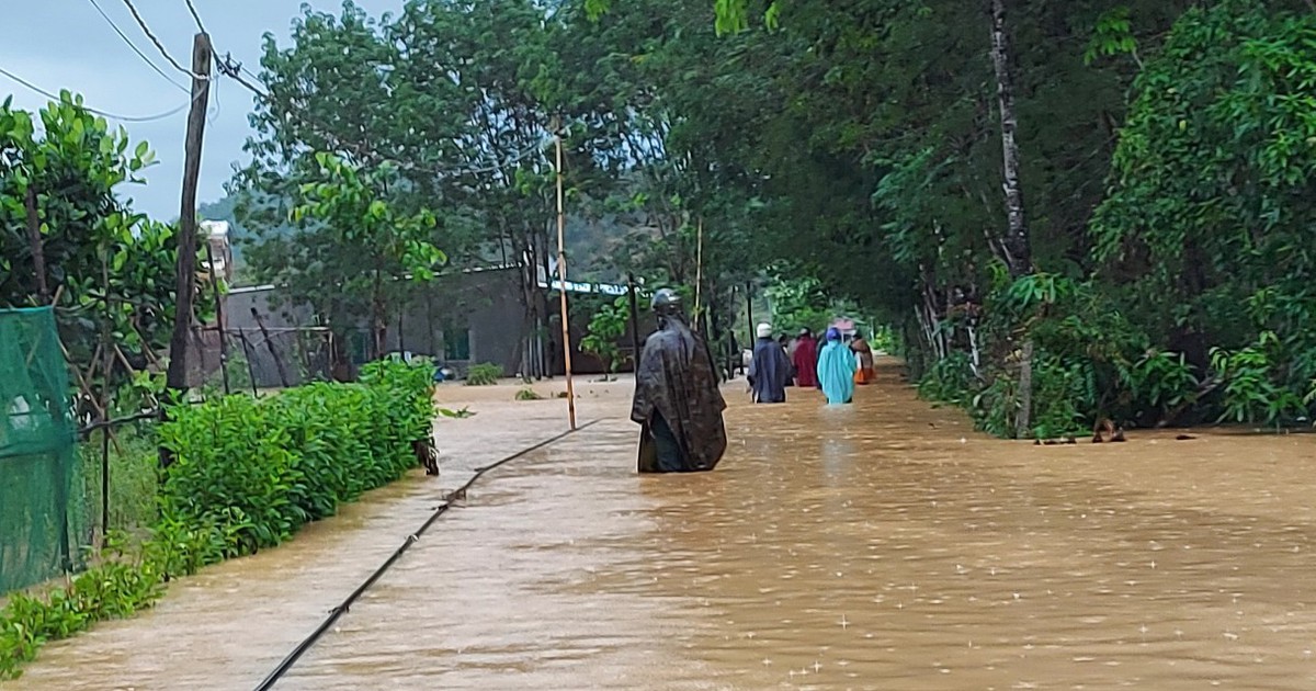 Lâm Đồng: Mưa lớn gây ngập úng hàng chục nhà dân và hàng trăm ha cây trồng