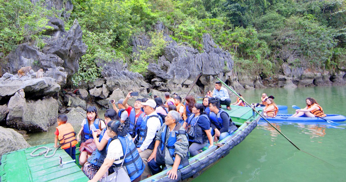 Dịch vụ đò chèo tay, thuyền kayak hot nhất vịnh Hạ Long hoạt động sai quy định?