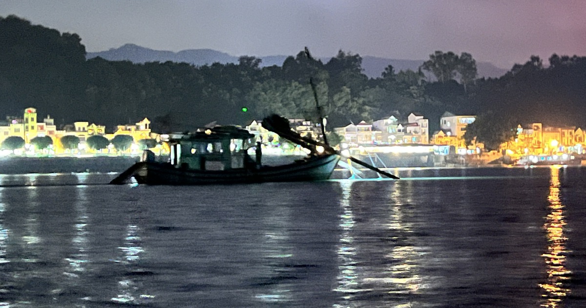 Quảng Ninh: Tàu giã cào uy hiếp môi trường vịnh Bái Tử Long