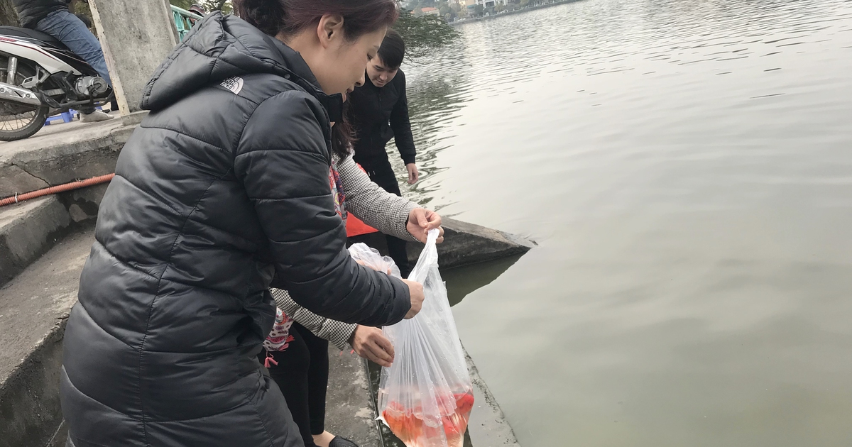 Người Hà Nội dẫn trẻ nhỏ đi thả cá cúng ông Táo từ sáng sớm