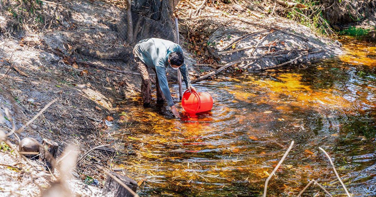 Nước sạch sắp về với người dân Phú Vang, Thừa Thiên-Huế