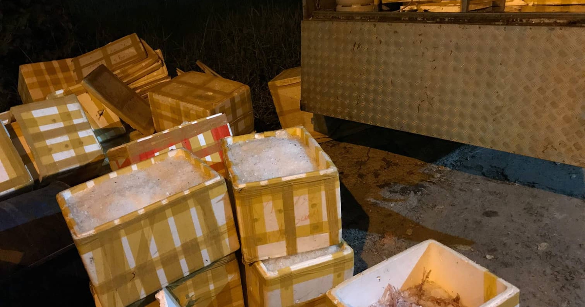 Bắt giữ 3 tấn thịt chim cút 'bẩn' trên đường đi tiêu thụ