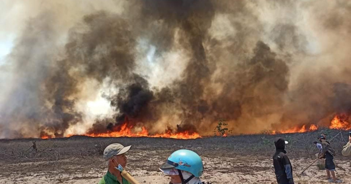 Cháy rừng phòng hộ kéo dài 4 thôn tại vùng biển Thừa Thiên - Huế