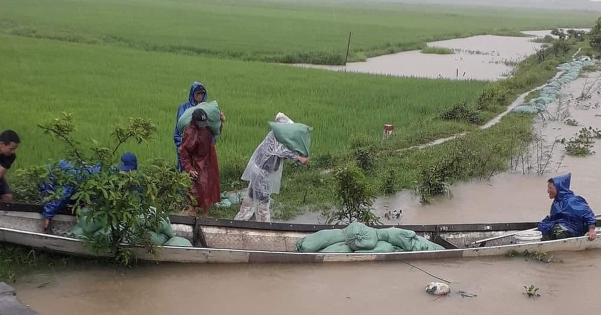 Mưa lũ bất thường ở Thừa Thiên - Huế: Hơn 15.185 ha lúa có nguy cơ mất trắng