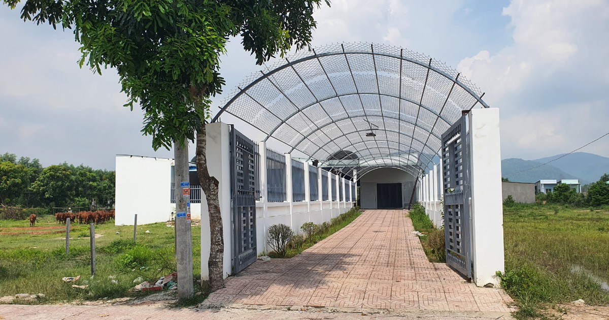 Bà Rịa - Vũng Tàu: 44 phòng trọ trái phép sau hơn 1 năm bị phạt 'bất ngờ đưa vào sử dụng'