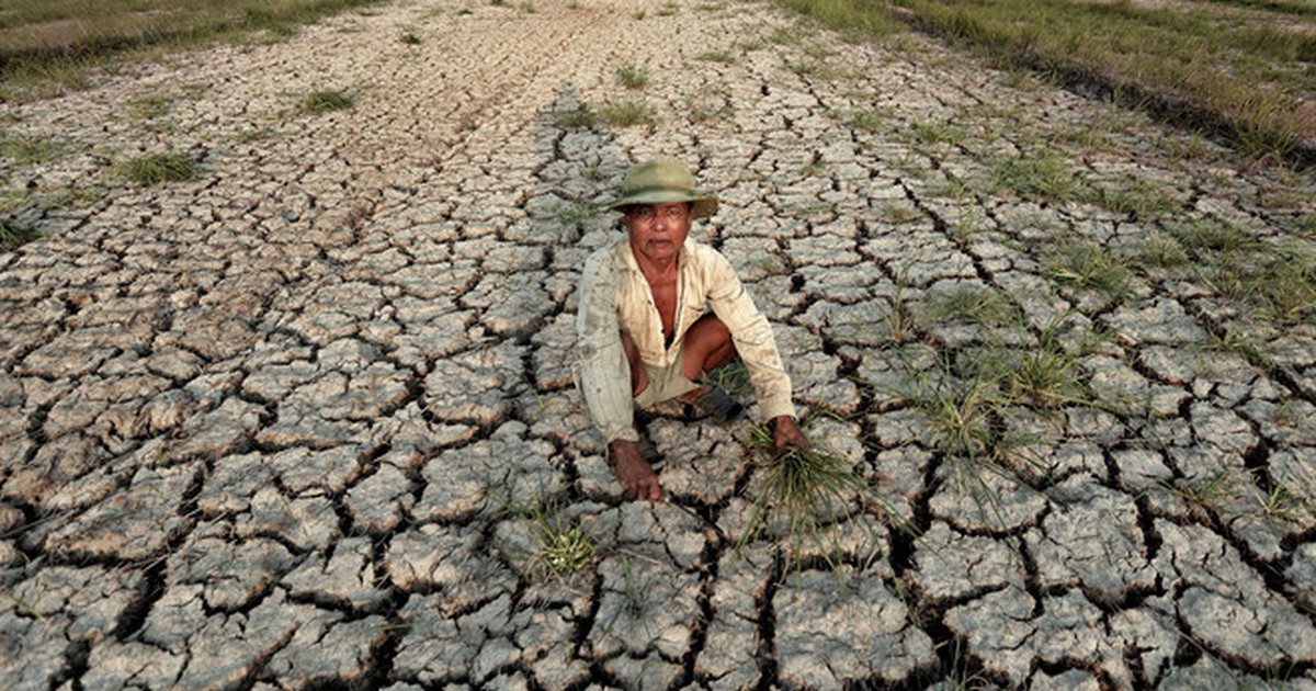 2020 sẽ nắng nóng kỷ lục, hạn hán kéo dài