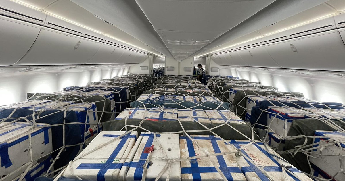 Bố trí riêng một 'siêu' máy bay chở vải thiều Bắc Giang vào TP.HCM