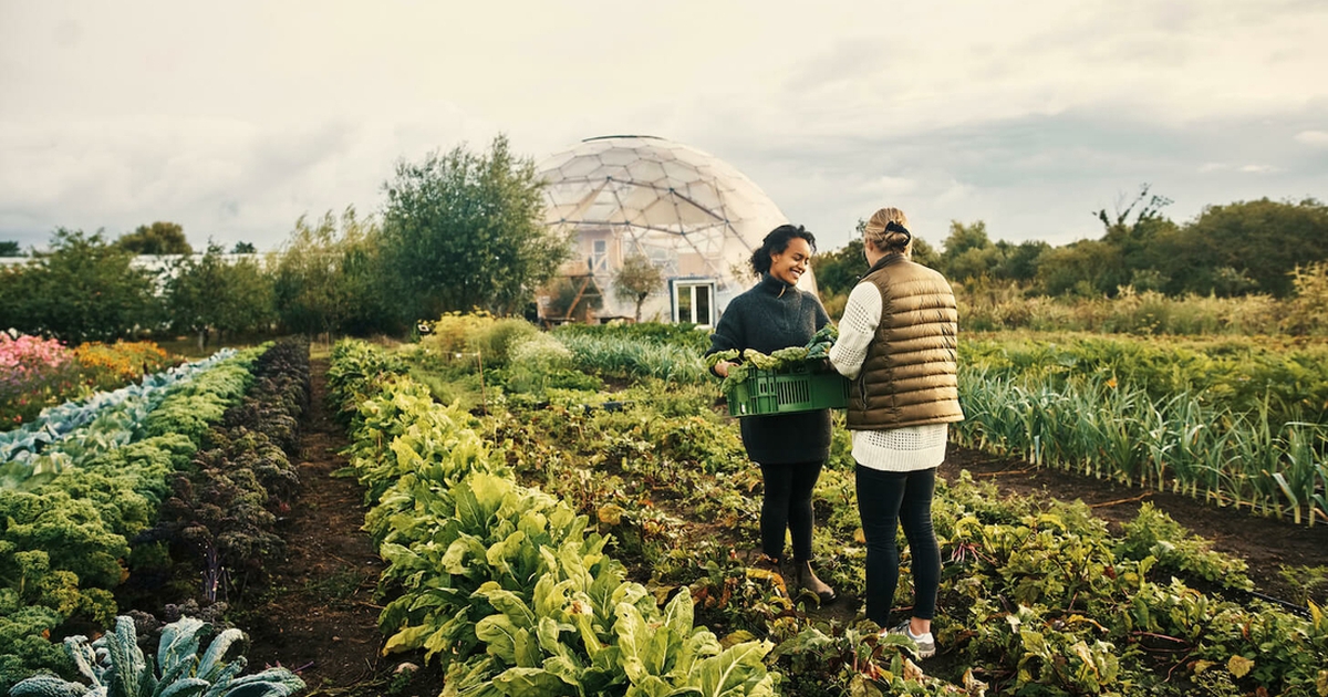 Đi du lịch thế nào để 'bắt trend' 2023?
