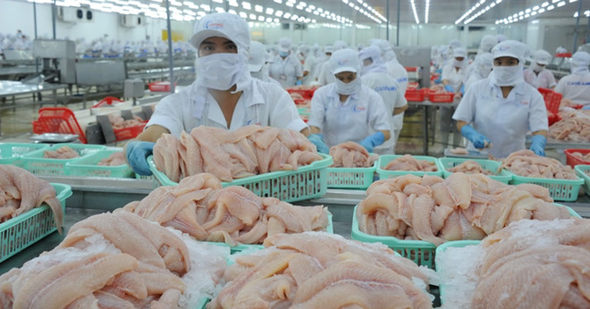 Xuất khẩu cá tra sang thị trường Mỹ liên tục sụt giảm