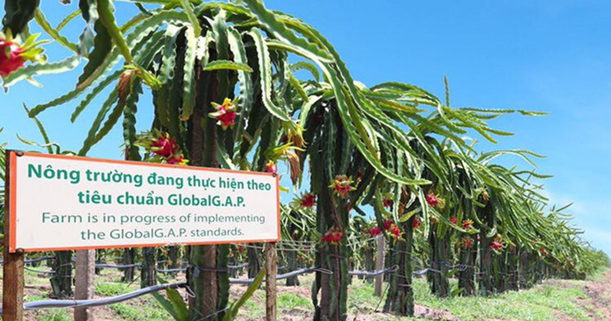 Ô tô Trường Hải tiếp tục đăng ký mua cổ phiếu nông nghiệp Hoàng Anh Gia Lai