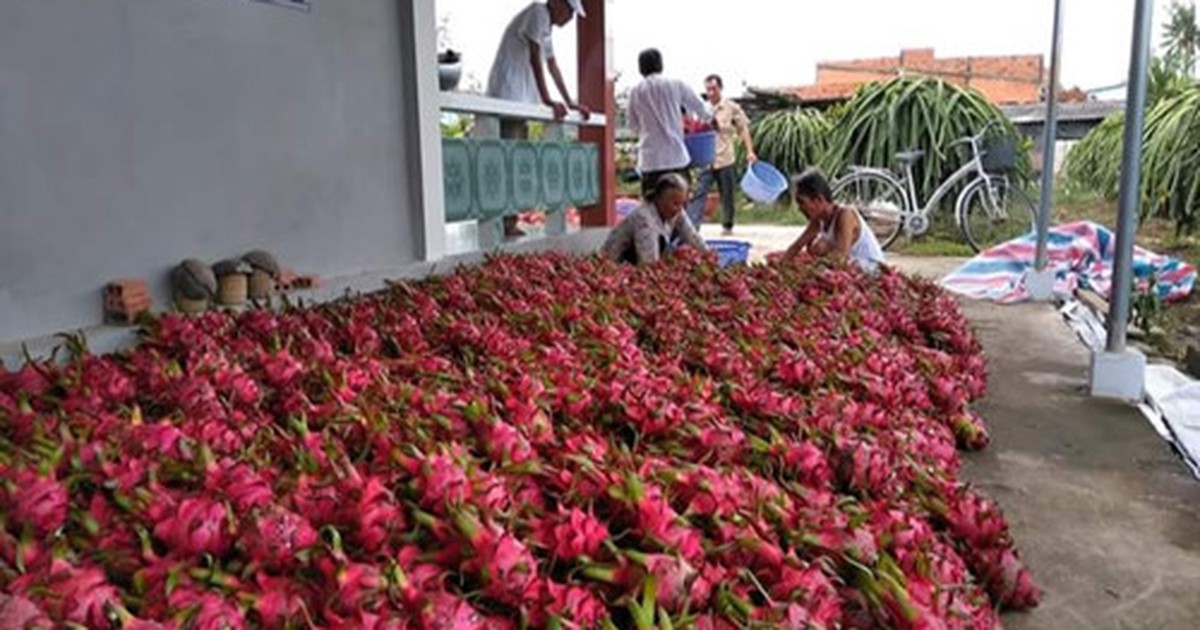 Giảm phí lưu kho để hỗ trợ tiêu thụ nông sản