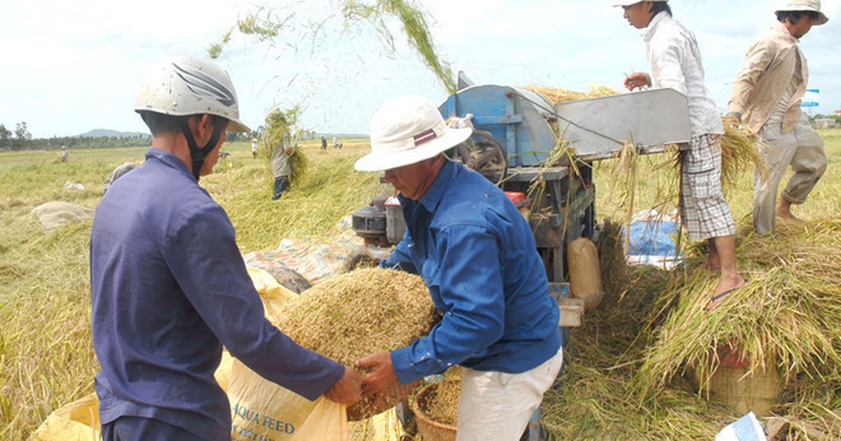 Lượng hạn ngạch gạo tháng 4 vẫn chưa xuất hết
