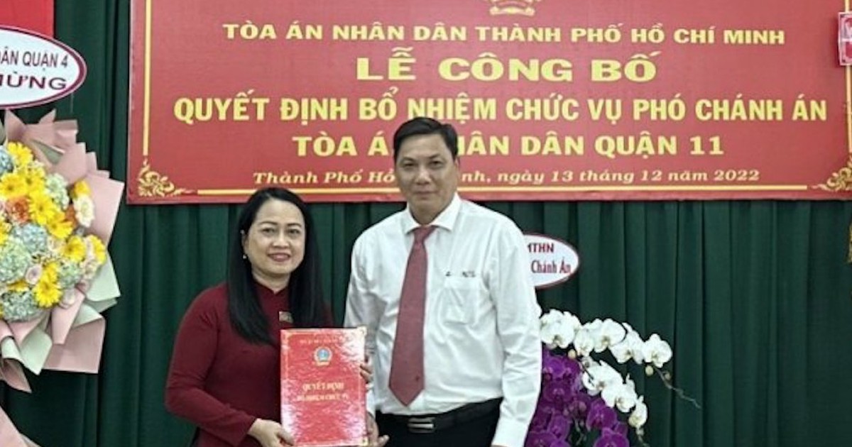 TP.HCM: Bà Trần Thị Ánh Loan giữ chức Phó chánh án TAND Q.11
