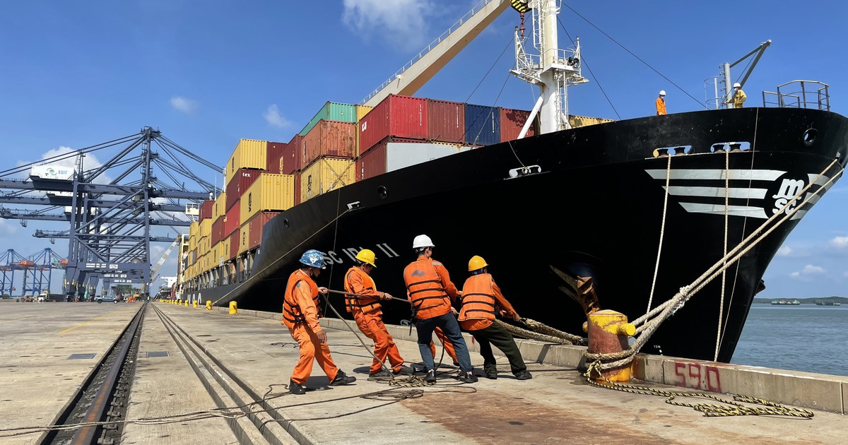 MSC Mở Tuyến Vận Tải Biển Kết Nối Trung Quốc Với Đông Nam Á - Cơ Hội Mới Cho Thị Trường Vận Tải