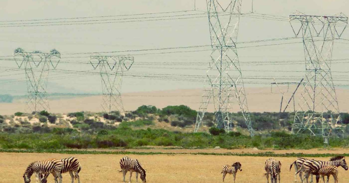 Điện hạt nhân giúp Nga, Trung Quốc mở rộng ảnh hưởng ở châu Phi