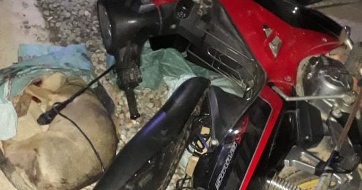 Bị người dân truy bắt đánh hội đồng, 3 'cẩu tặc' phải nhập viện