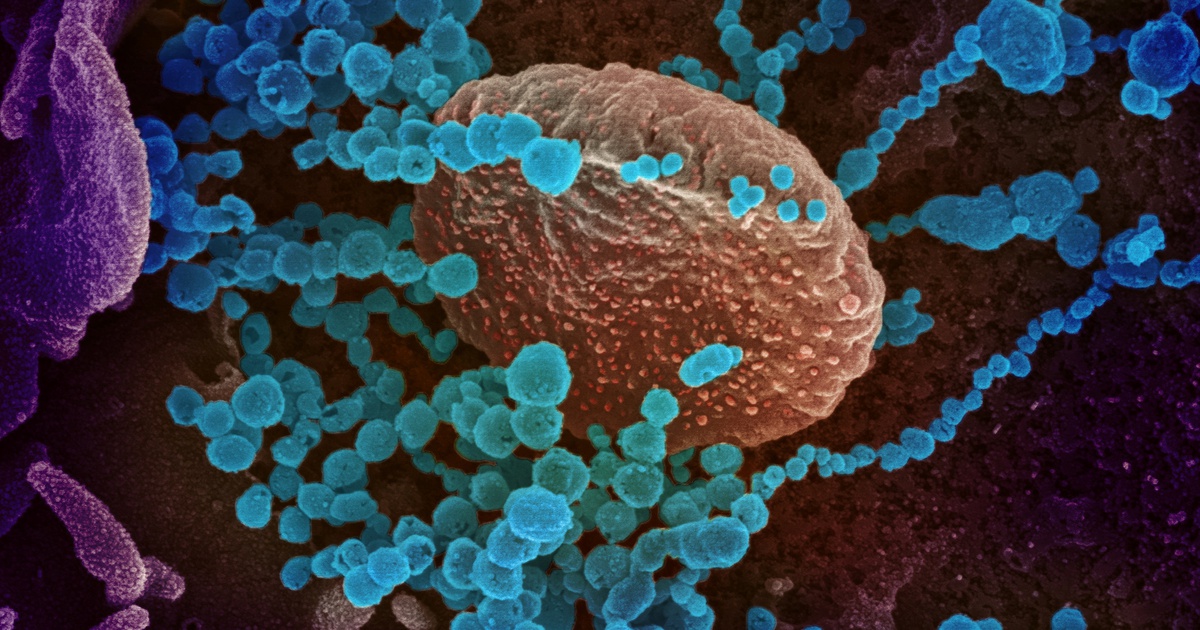 Liệu có thể có ‘biến chủng tận thế’ vượt qua mọi vắc xin?