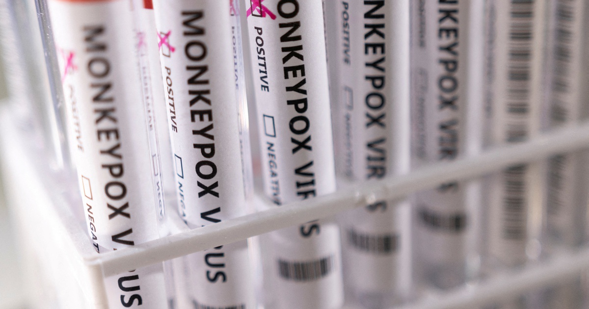 WHO đánh giá nguy cơ toàn cầu từ bệnh đậu mùa khỉ ở mức trung bình