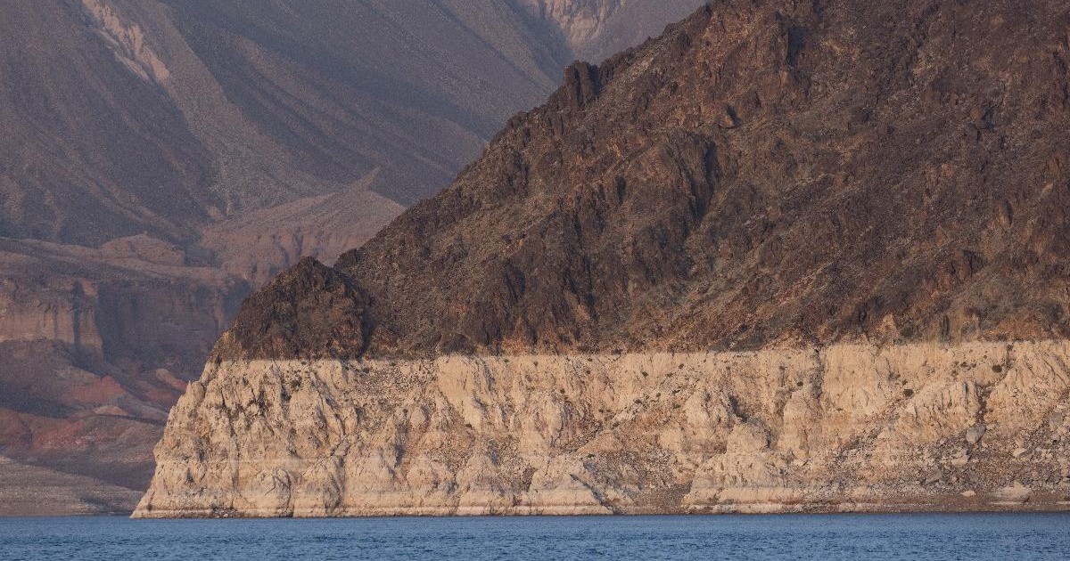 Thiếu niên tử vong vì amip ăn não người sau khi đi bơi ở hồ nước ngọt