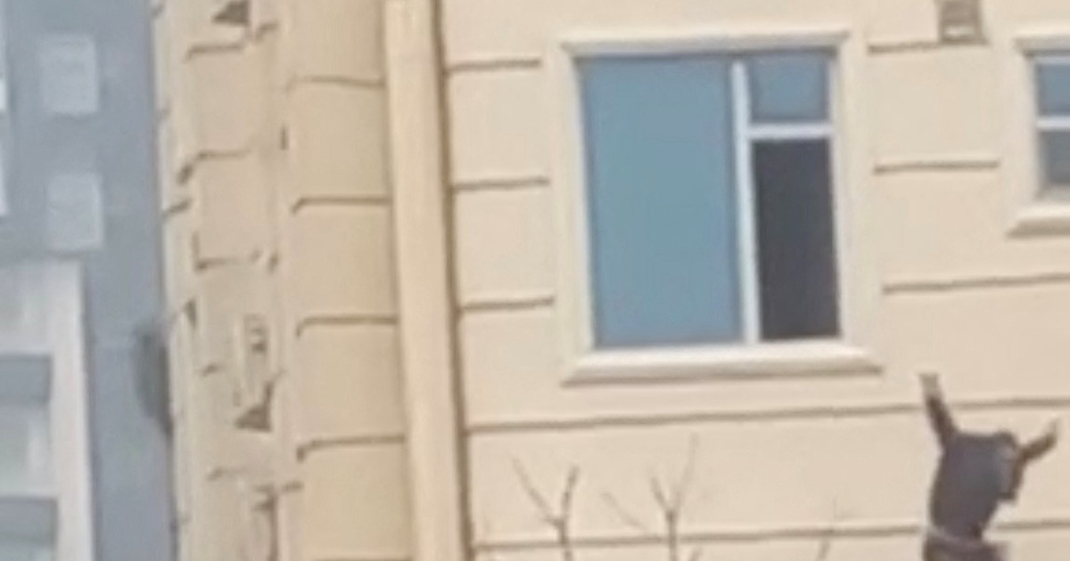 IS kể chi tiết vụ tấn công đẫm máu tại ‘khách sạn quen của người Trung Quốc’